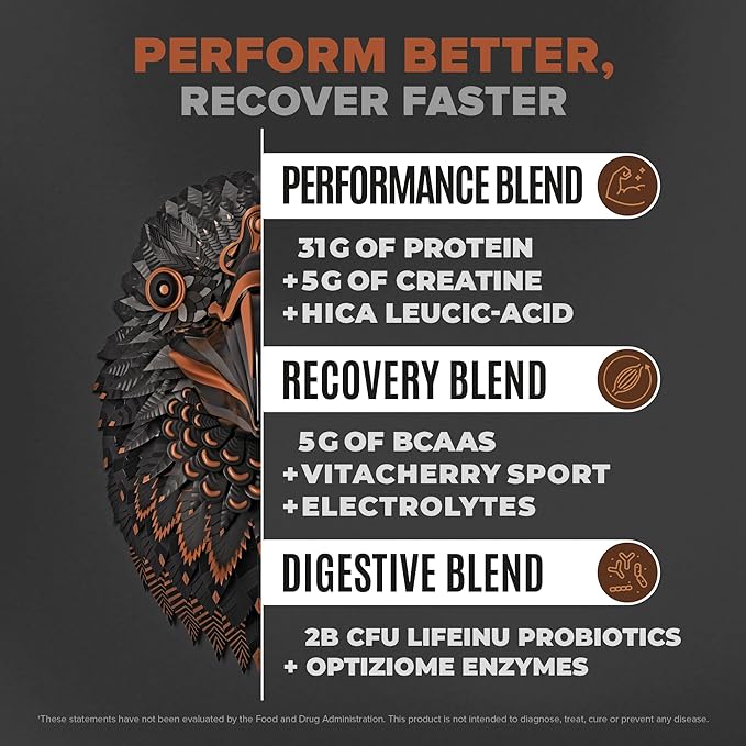 Birdman Falcon Performance Vegan Protein Powder, 31g Protein, 5g Creatine, 5g BCAA, -19 servings