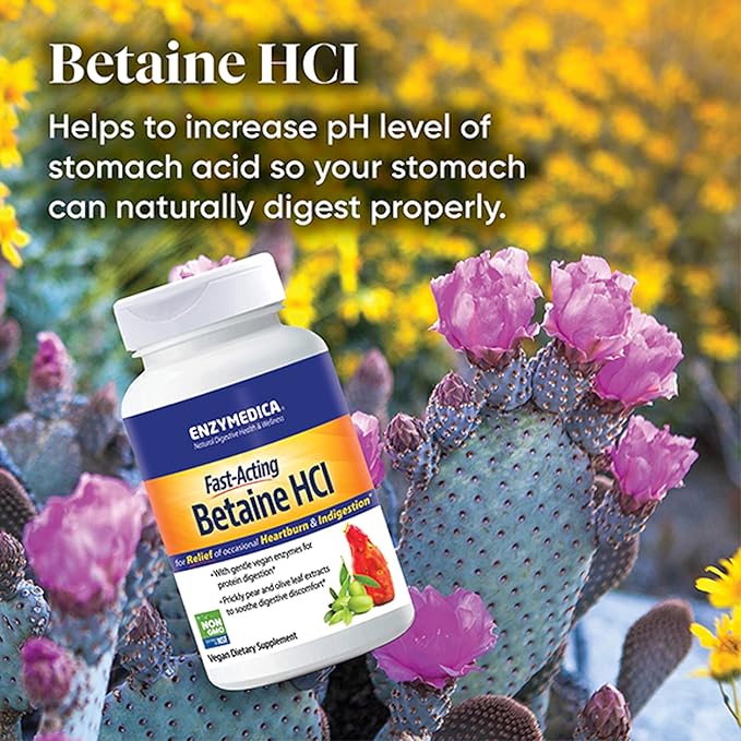 Enzymedica, Betaine HCl, Occasional Heartburn and 120 Capsules