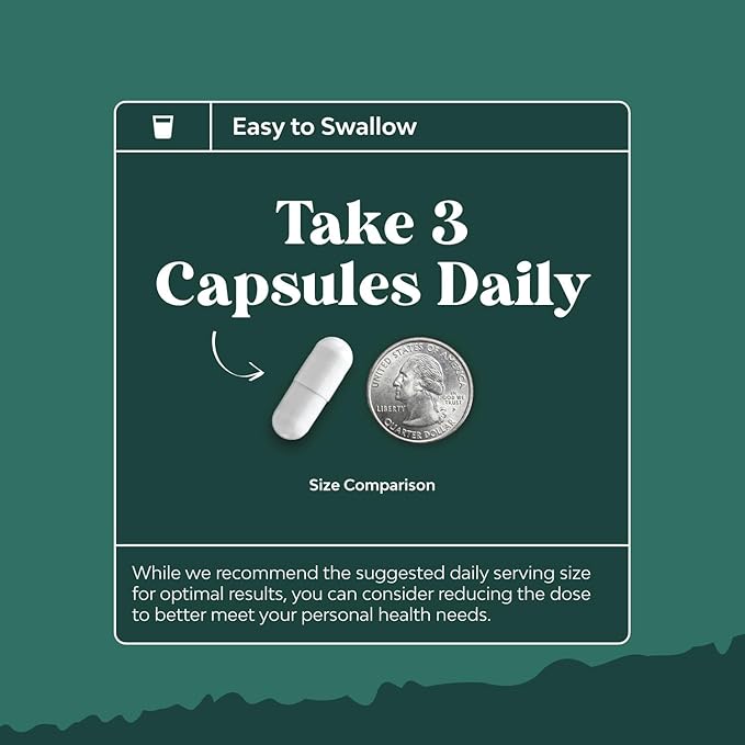 Digestive Enzymes with Ox Bile Supplement 4X Ox (2 Months)