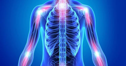Flamasil™- for Healthy Inflammation Response* | Multi-Herbal Pain Reliever* and Joint Aid | Bio-Enhanced Turmeric, Boswellia, Resveratrol, and More | 13-in-1 Superfood Antioxidants | 30-Day Supply