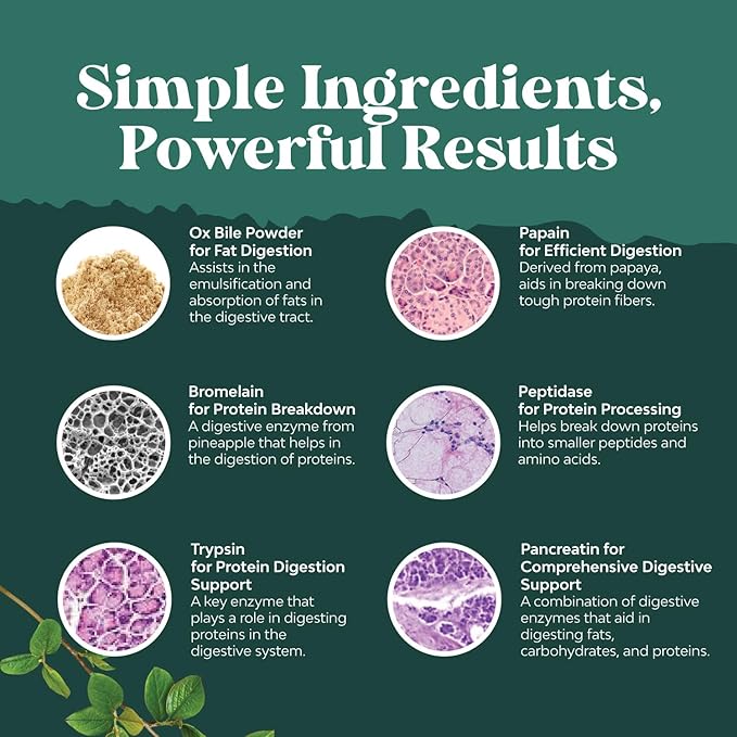 Digestive Enzymes with Ox Bile Supplement 4X Ox (2 Months)