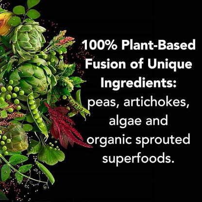 PlantFusion Complete Vegan Protein Powder Sample Packets 4)